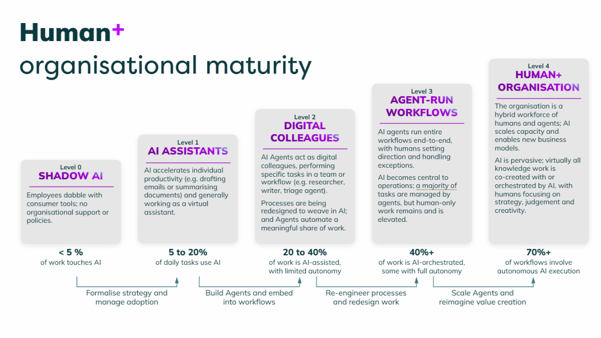 Human+ Organisation Maturity