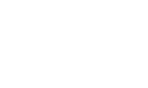 AAF_Intl_logo_Daikin_tag_wht_retina